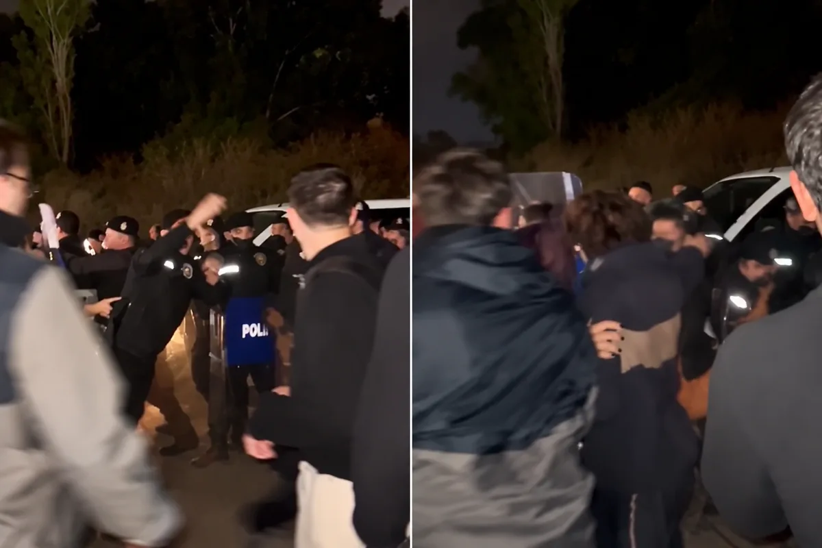 Ege Üniversitesi’nde gece yarısı köpekler toplatıldı! Hayvanseverler tepkili