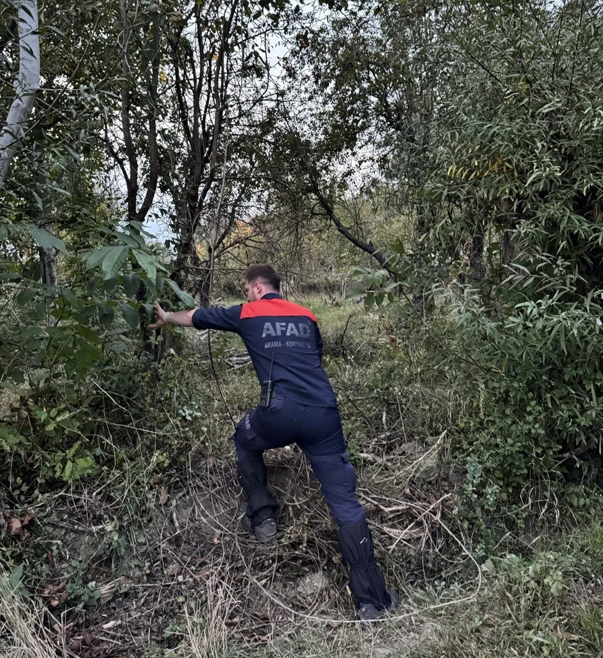 Sinop Boyabat'ta ormanda kaybolan 71 yaşındaki kadın için arama başlatıldı