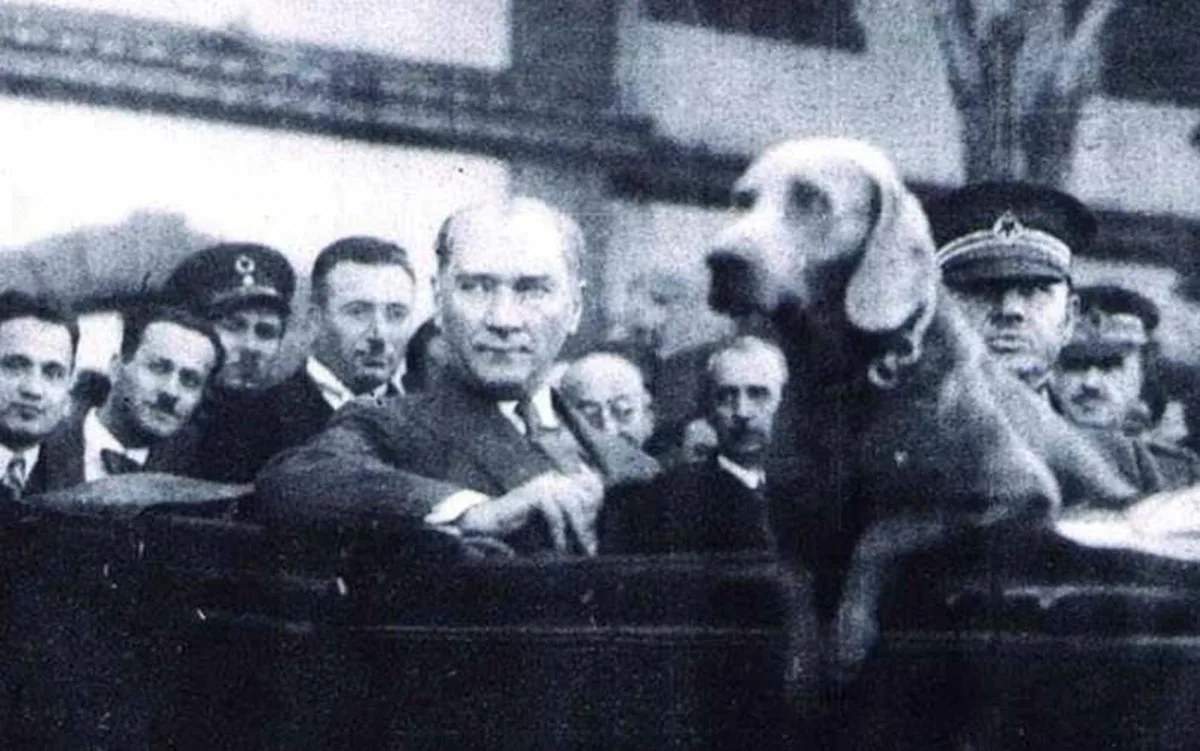 Atatürk’ün köpeğinin adı nedir?
