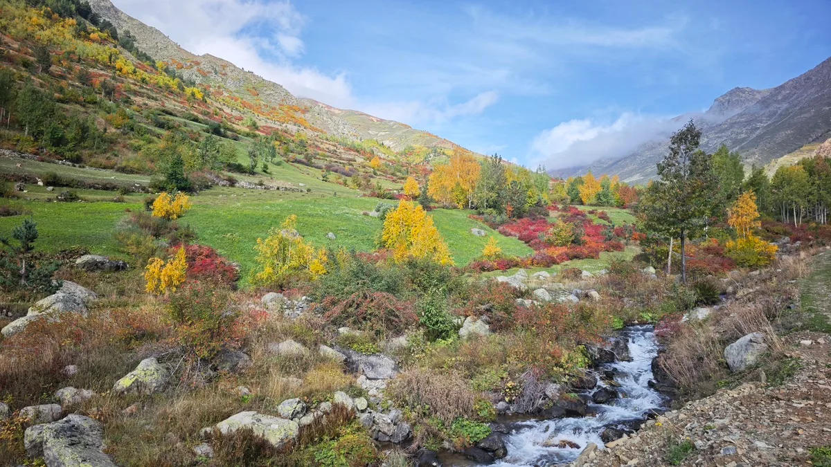 Artvin Yusufeli'deki Bıçakçılar köyü sonbaharda renk cümbüşüne büründü