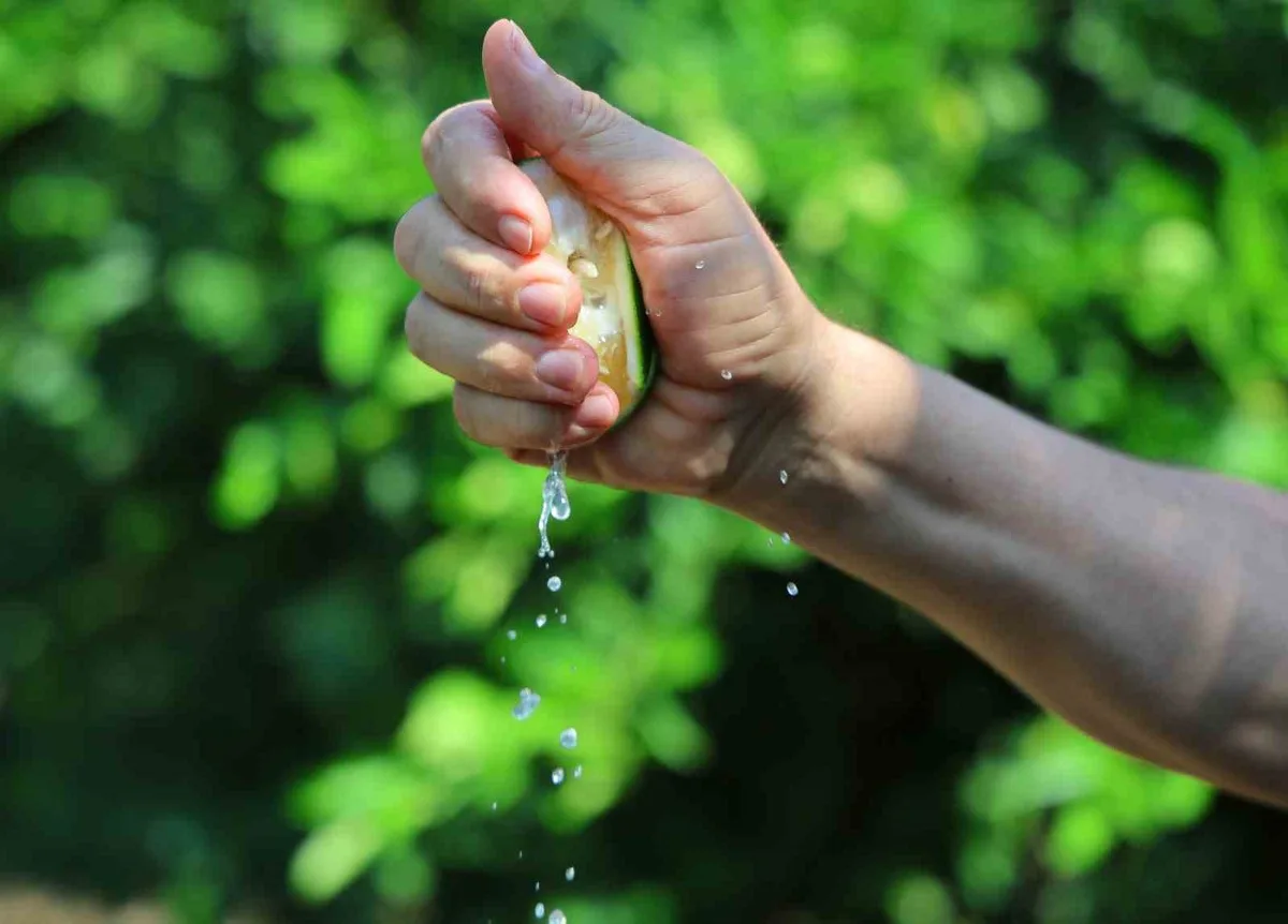 Adana'da limon 5 liraya düştü, Karadeniz kapalı olduğu için ihracat yapılamıyor