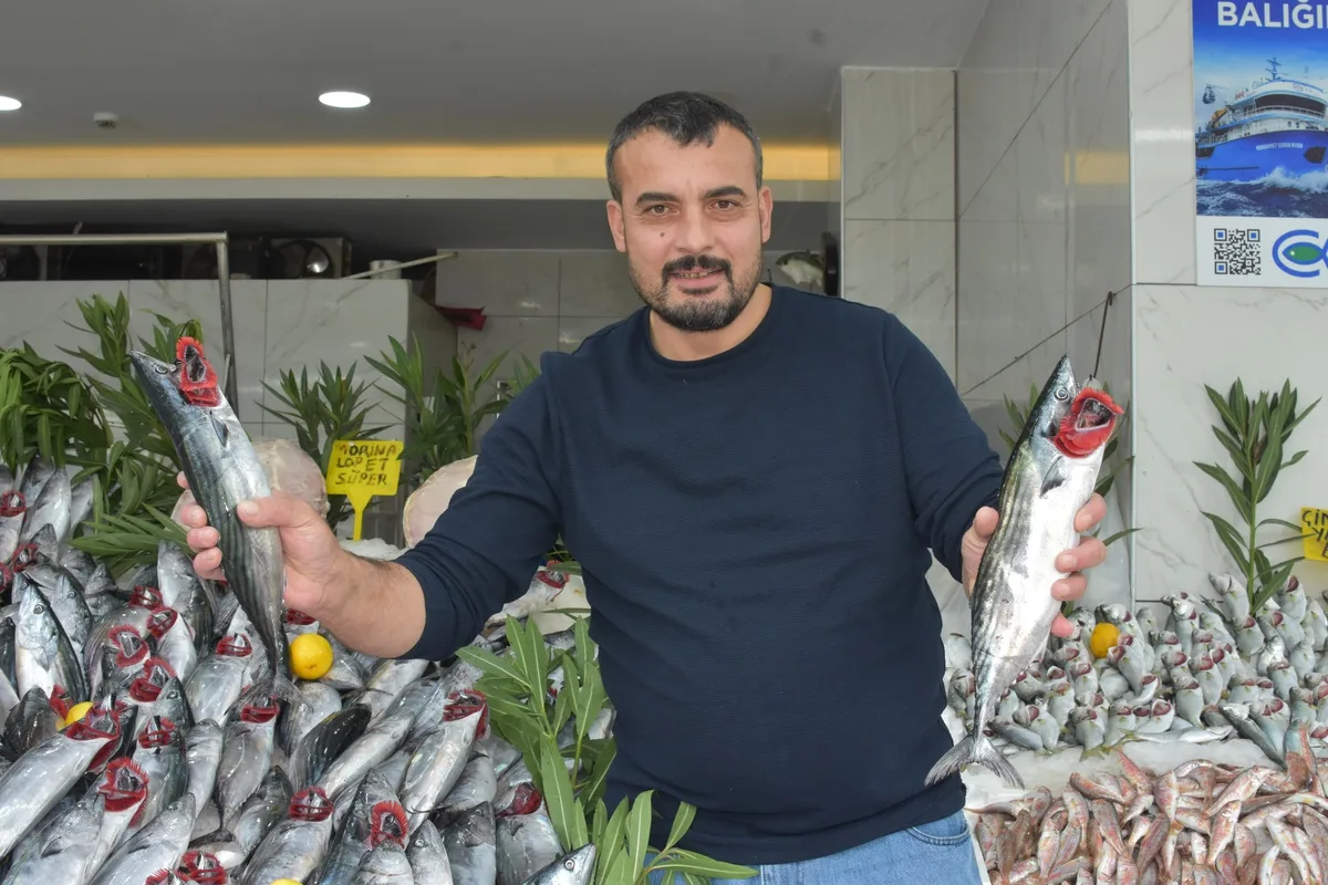 Samsun'da balıkçı Recep Erdoğan palamut bolluğunun en az 1 ay daha süreceğini söyledi