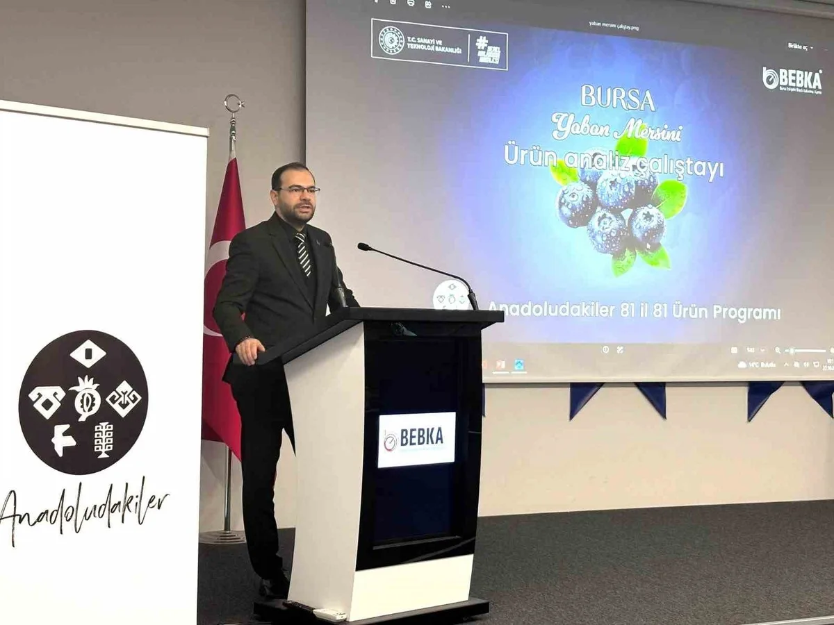 BEBKA çalıştayının çıktıları Bursa yaban mersinine yol haritası olacak