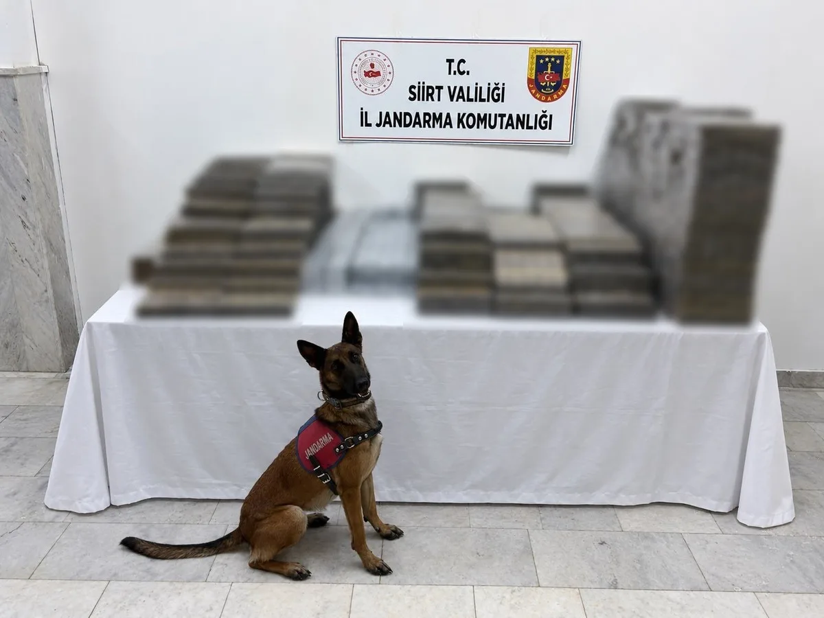 Siirt'te kömür çuvallarına gizlenmiş 10 bin 250 paket kaçak sigara ele geçirildi