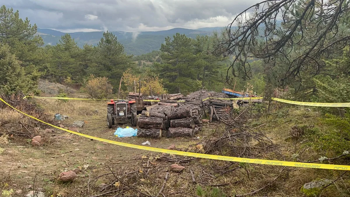 Kastamonu Tosya'da köy imamı İrfan Vurucu'yu odunla öldüren K.Ç. yakalandı