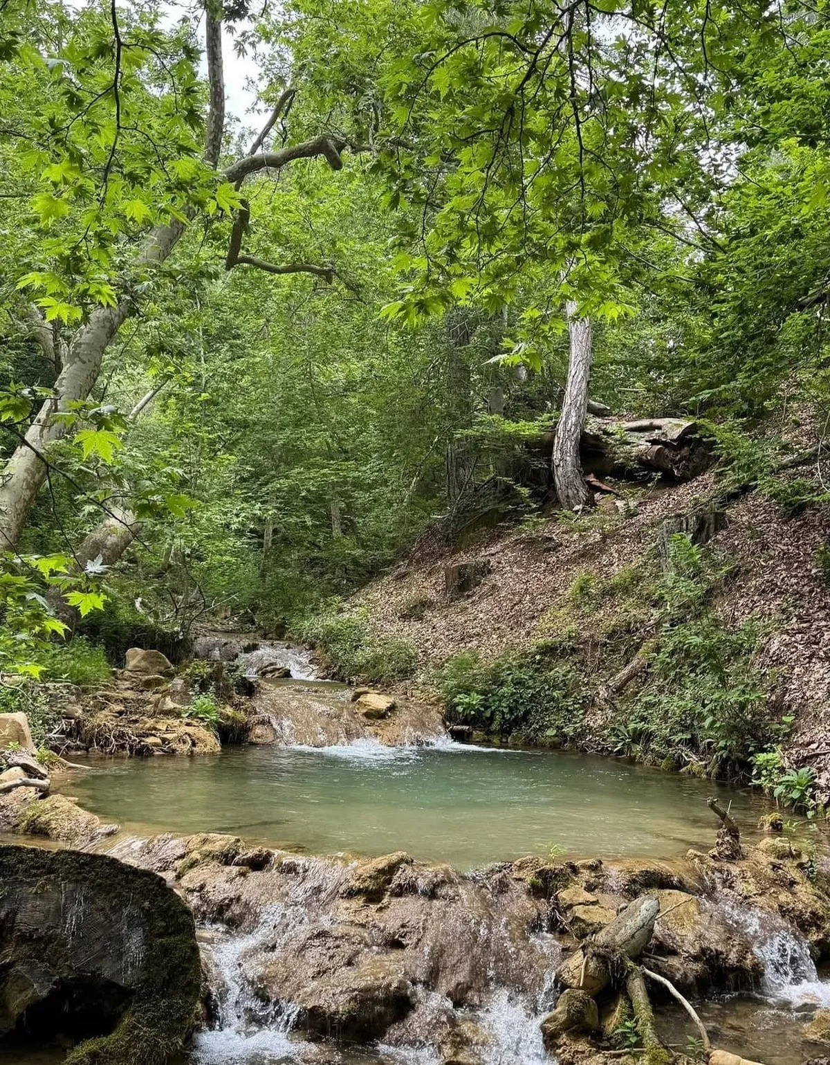 Kahramanmaraş Andırın'da Fındıklı Dere ve Hastane Pınarı doğa tutkunlarını bekliyor