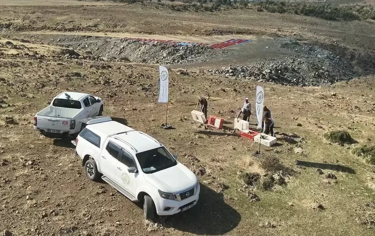 Gaziantep İslahiye'de yüzlerce kınalı keklik tarım zararlılarına karşı doğaya salındı