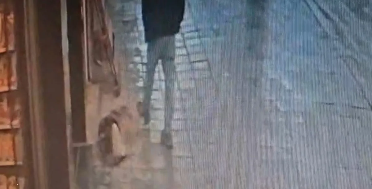 Avcılar'da uyuyan köpeğe tekme atan adam, ayağından ısırılarak yaralandı