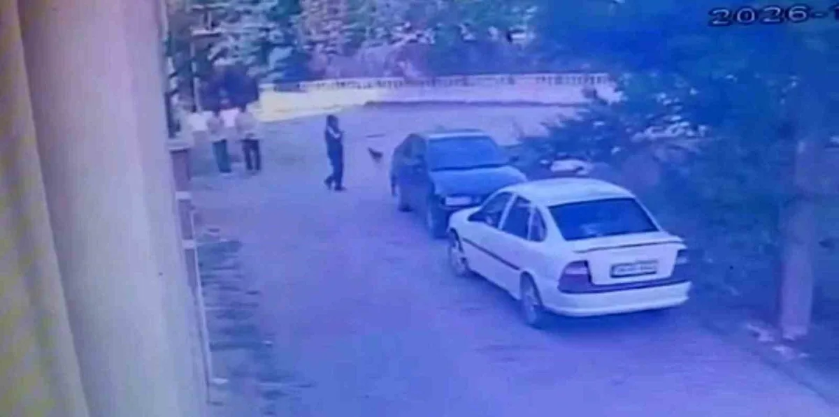 Bolu'da otomobilden saat çalan kişi arkadaşlarıyla kamerada görüntülendi