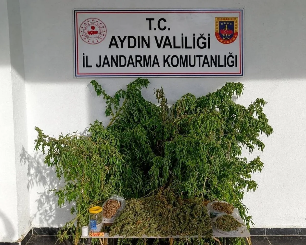 Aydın İncirliova'da jandarma operasyonunda evde 3 kilo 42 gram esrar ele geçirildi