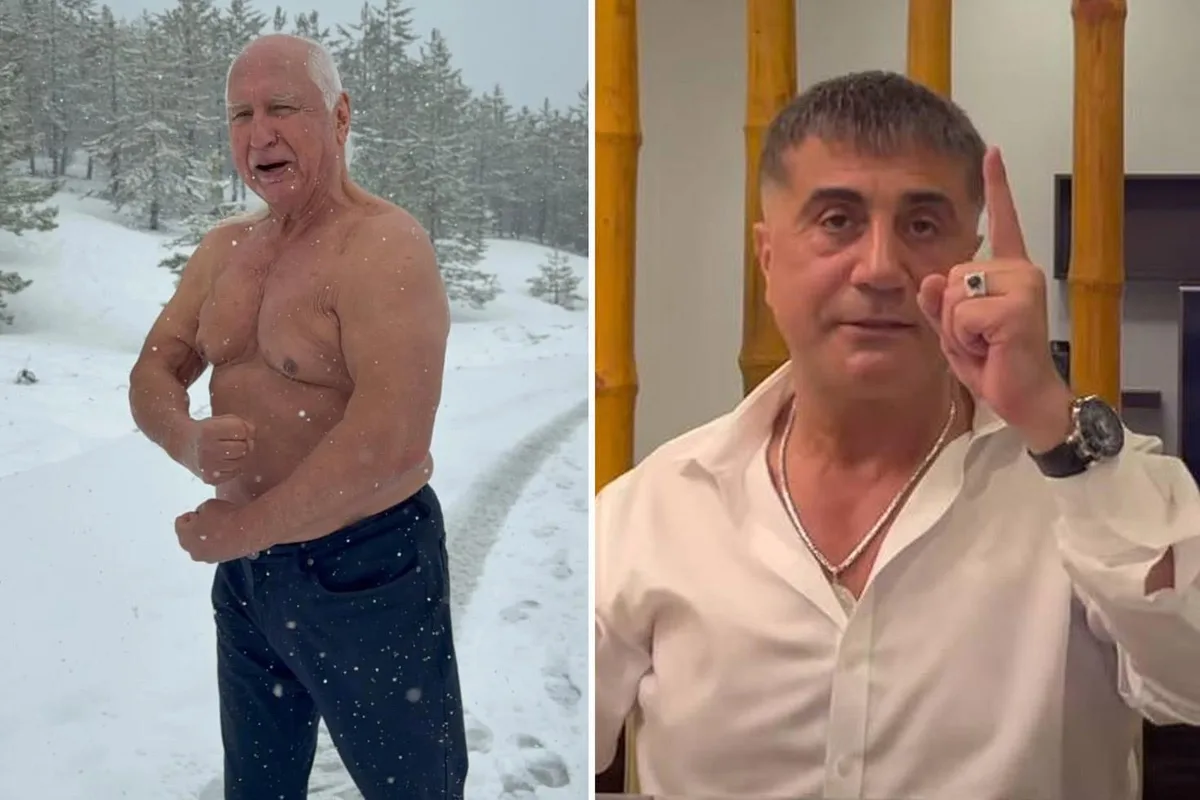 Şener Üşümezsoy'dan "tehdit" sorusuna Sedat Peker'li yanıt