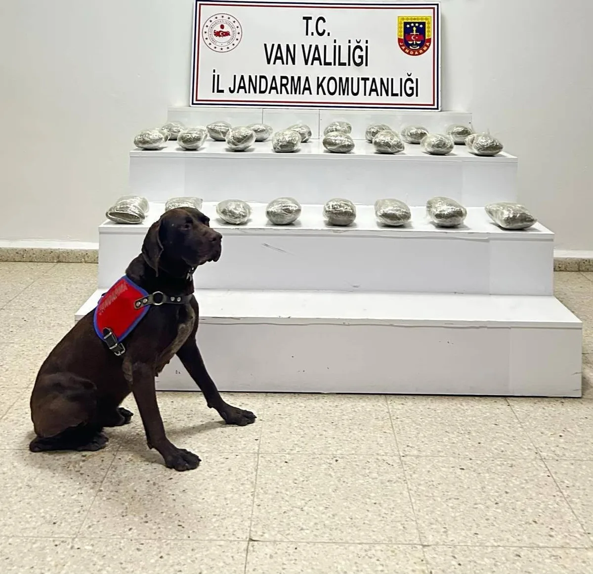 Jandarma Başkale'de 10 kilo 111 gram toz esrar ele geçirdi, 3 kişiyi gözaltına aldı
