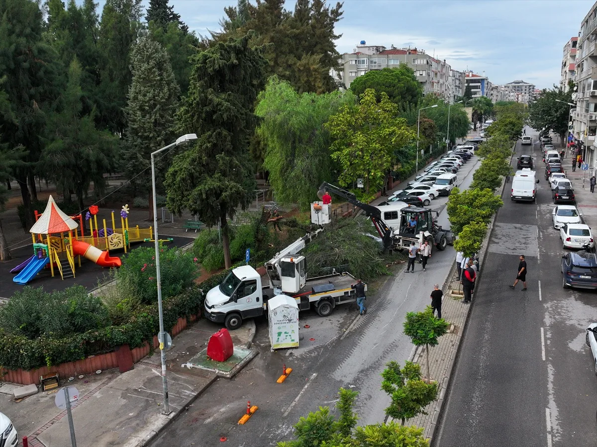 İzmir Karşıyaka'da gece devrilen ağaç park halindeki 4 otomobile hasar verdi