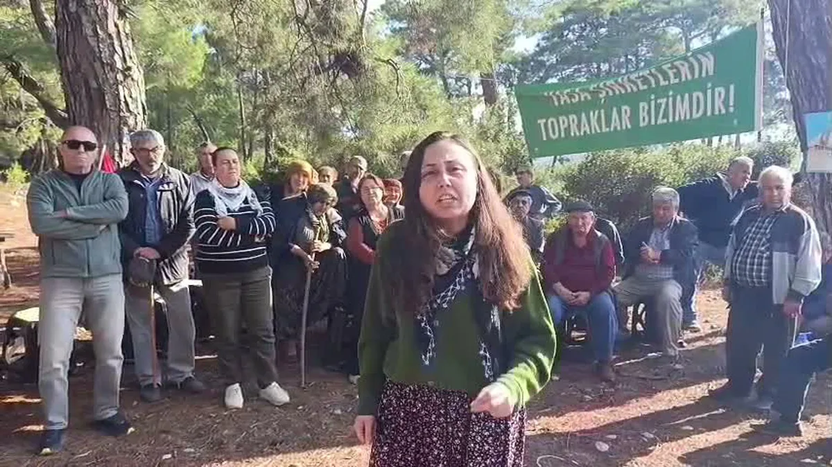 Danıştay 6. Dairesi Akbelen Ormanı'ndaki 679 parsel için açılan davayı reddetti