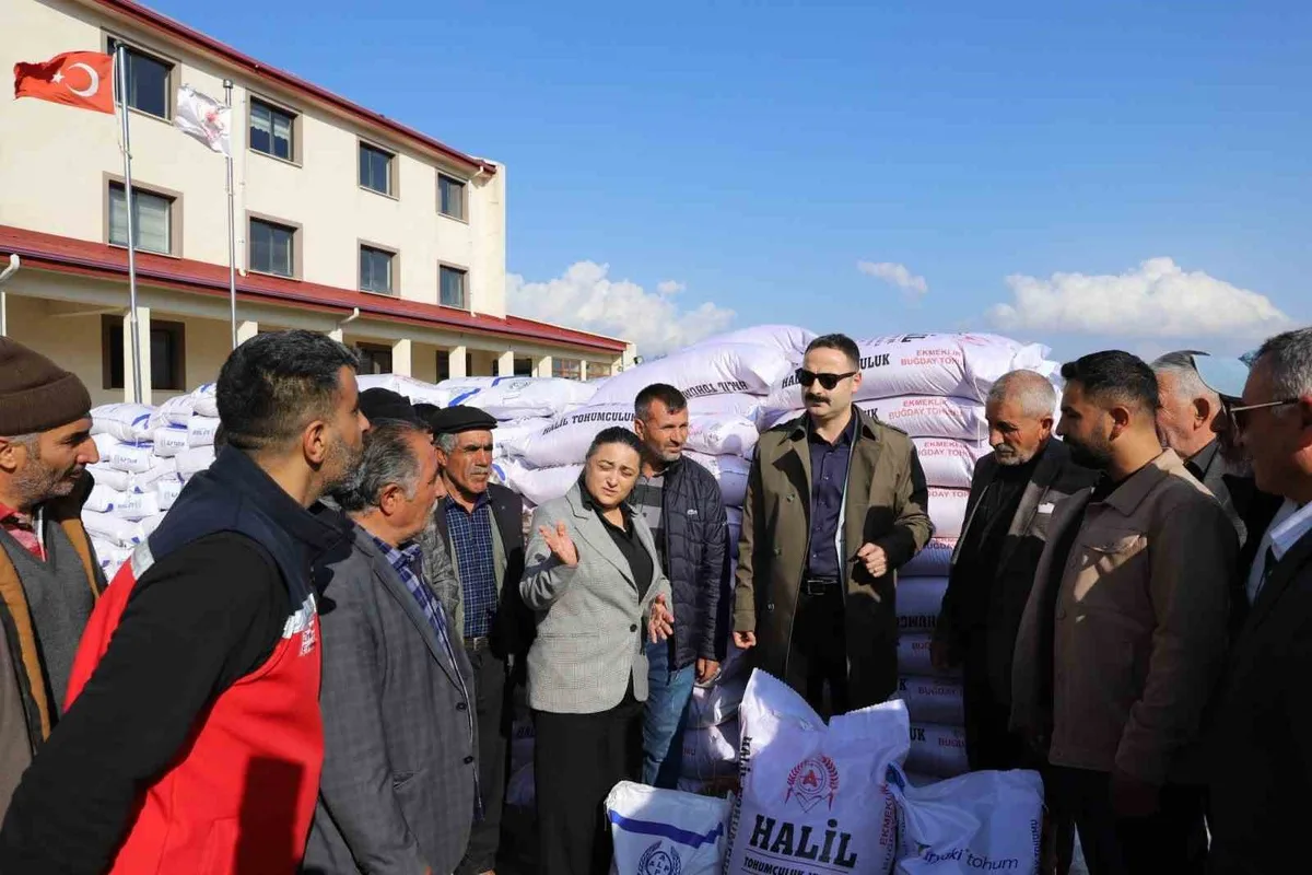 Doğubayazıt'ta çiftçilere 20 ton buğday tohumu yüzde 70 hibeyle verildi