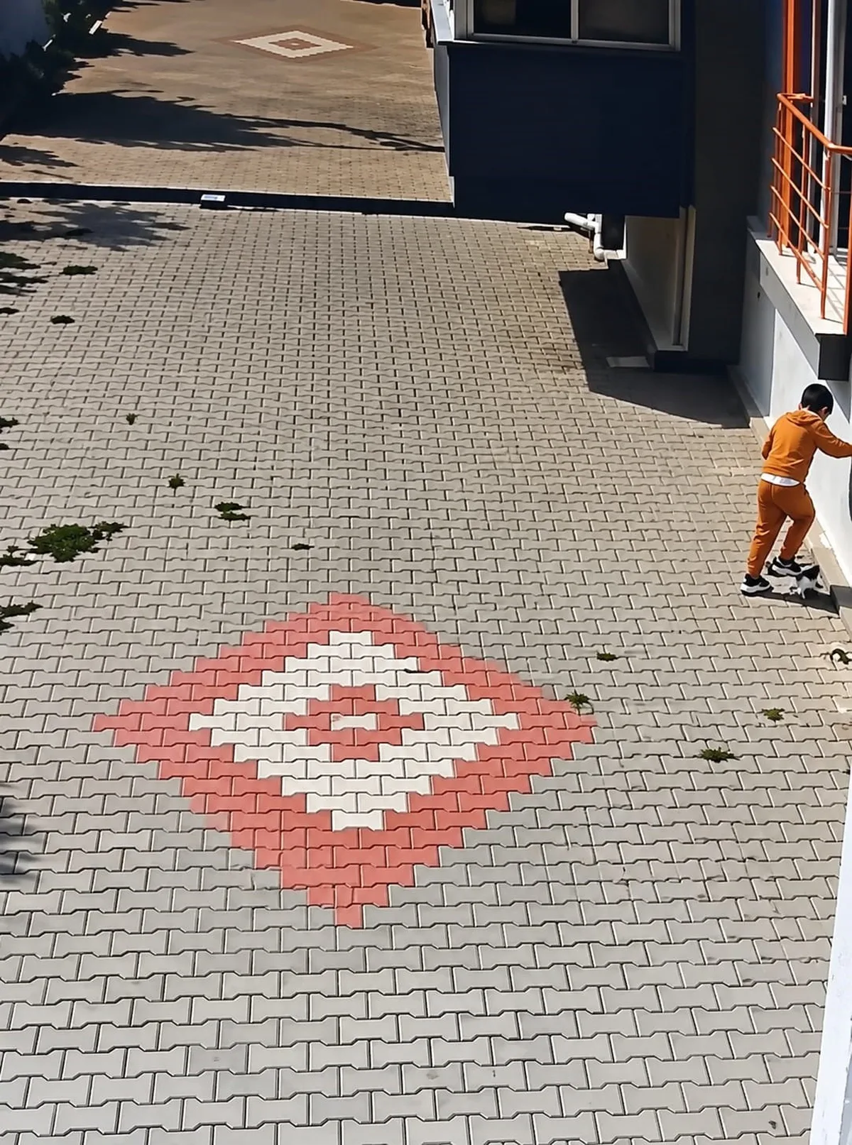 Bandırma'da kediye kötü muamele iddiası tepki çekti, aileye para cezası kesildi