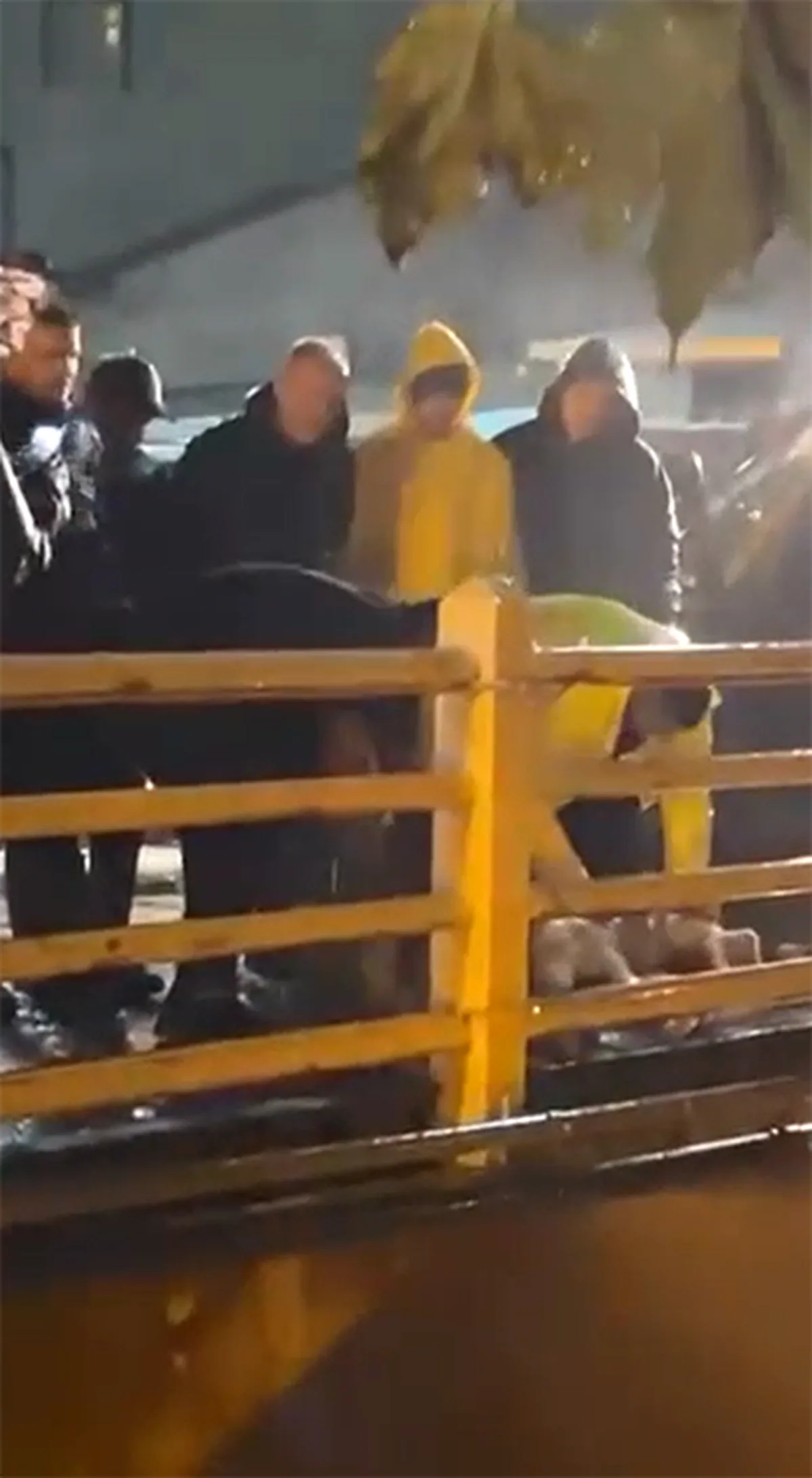 Yalova Armutlu'da sağanağın dinmesi için dere üzerindeki köprüde kurban kesildi