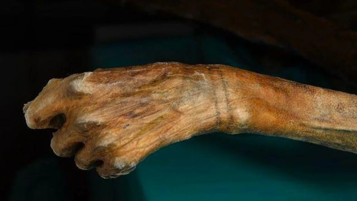 Buzlar eriyince Ötzi gibi kalıntılar ortaya çıkıyor, kurtarmak için kısa süre var