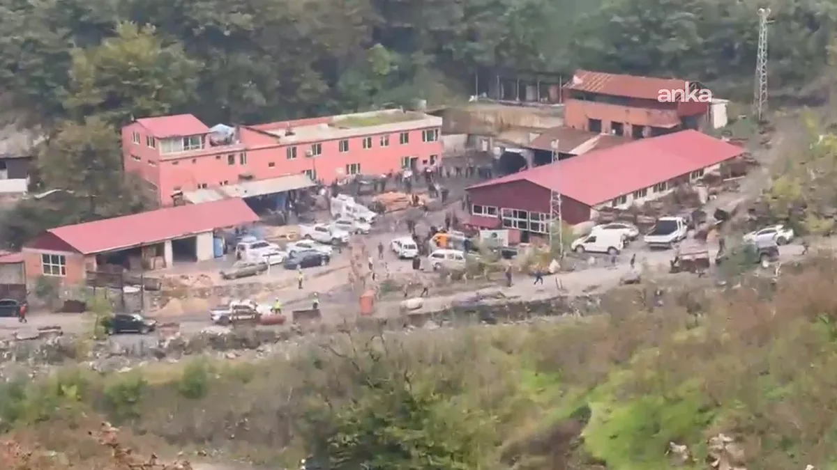 Jeoloji Mühendisleri Odası, Zonguldak patlamasında ihmallerin araştırılmasını istedi