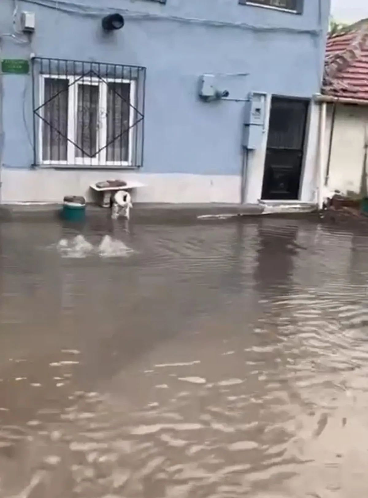 Bursa'da sağanak yaşamı etkiledi, Valilik 3 ilçede 80 km rüzgar uyarısı yaptı