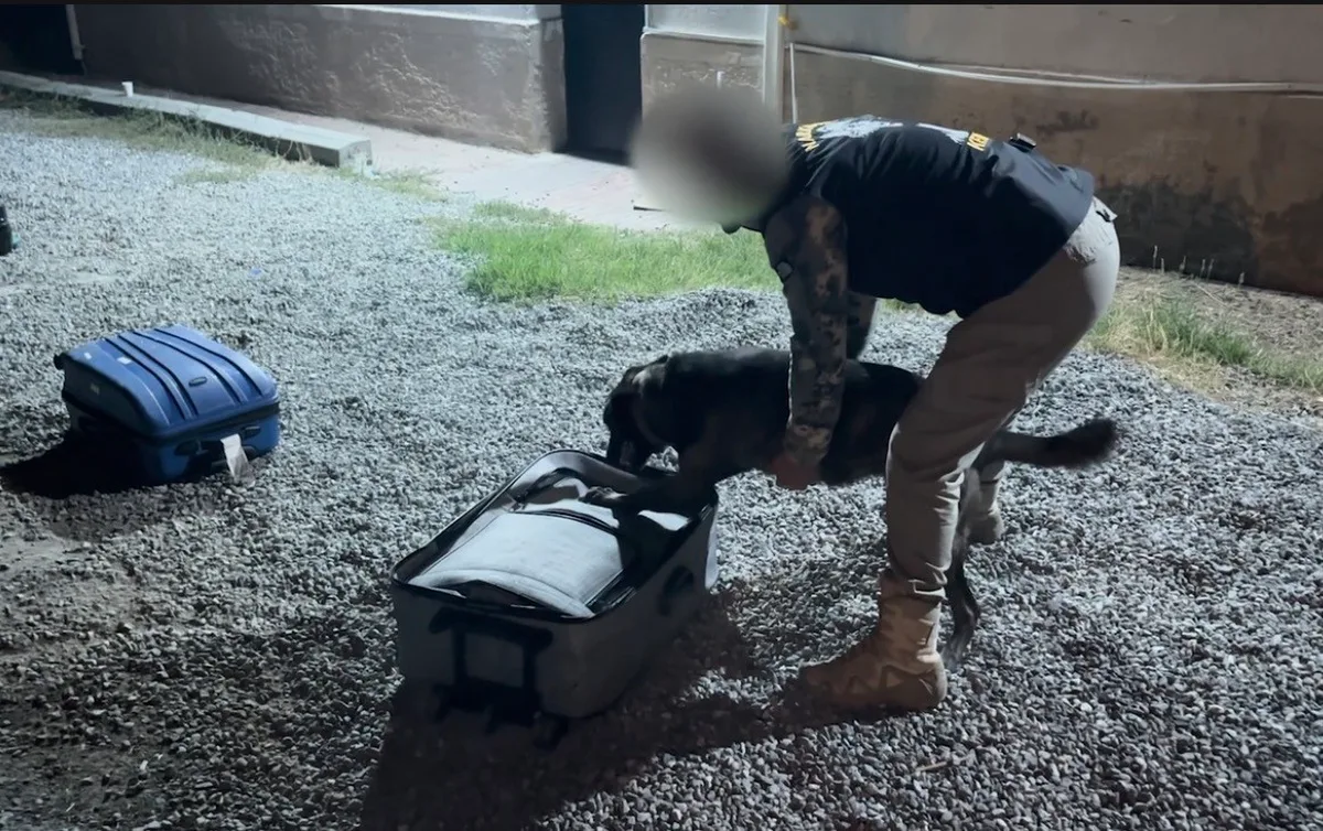 Iğdır ve Ağrı'daki uyuşturucu operasyonlarında 6 şüpheli tutuklandı