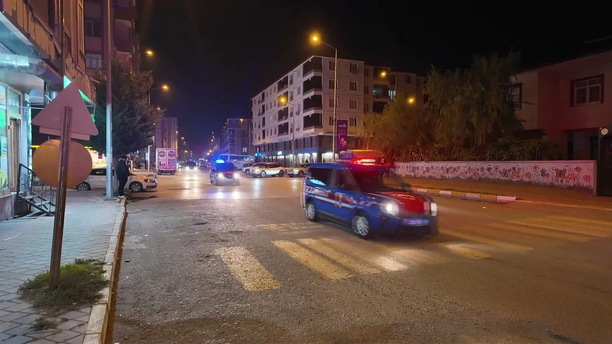 Iğdır'da Valilik önünden başlayan Cumhuriyet Konvoyu bin 3 araca ulaştı