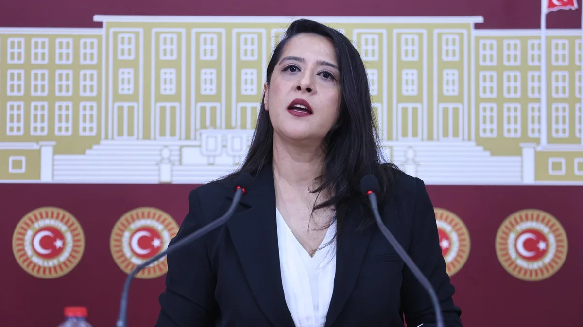 Karaca, Diyarbakır Sur'da 540 dönümden fazla meranın GES'e tahsisini TBMM'ye taşıdı