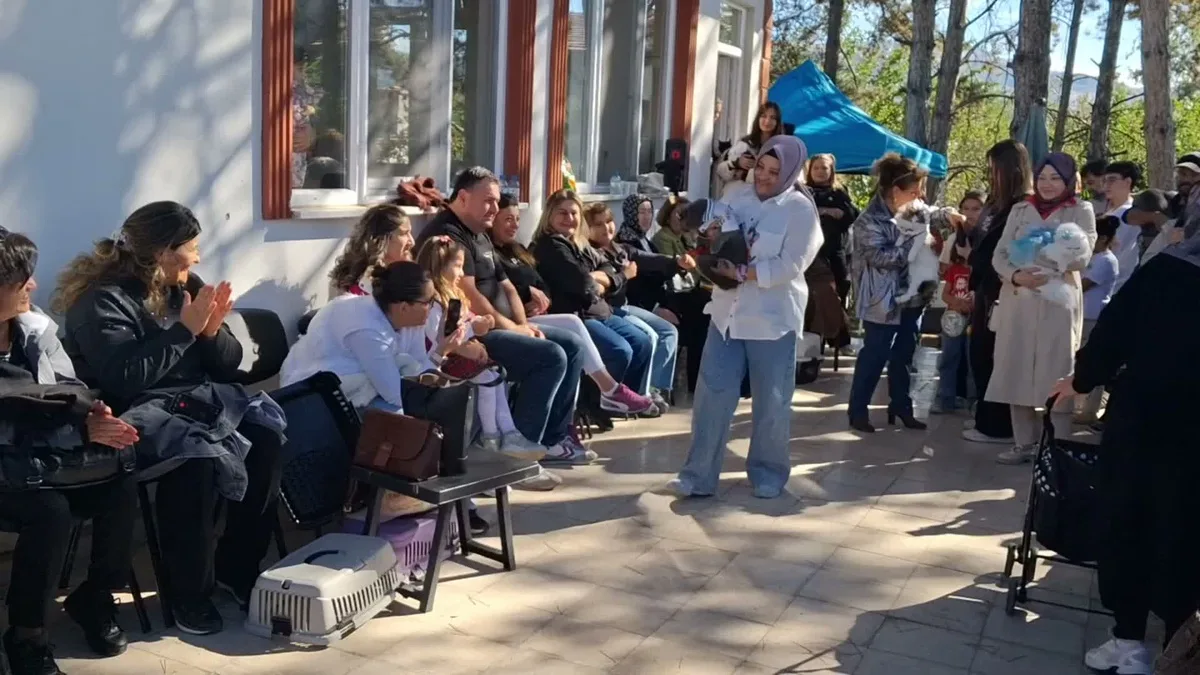 Tokat'ta düzenlenen kedi yarışmasında Pamuk 'En Süslü Kedi' seçildi