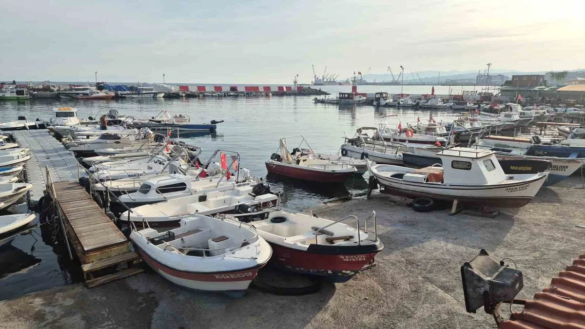 Tekirdağ'da fırtına dinince balıkçılar denize açıldı, palamutta bolluk var