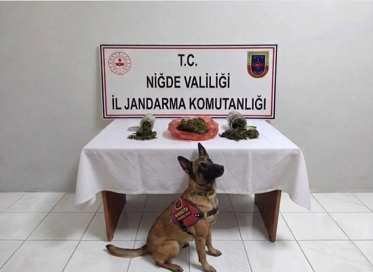 Niğde'de operasyonlarda aranan 51 kişi yakalandı, 226 kişiye işlem yapıldı