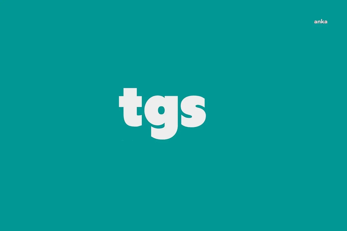 TGS, gazeteci İsmail Arı'nın derhal serbest bırakılmasını istedi