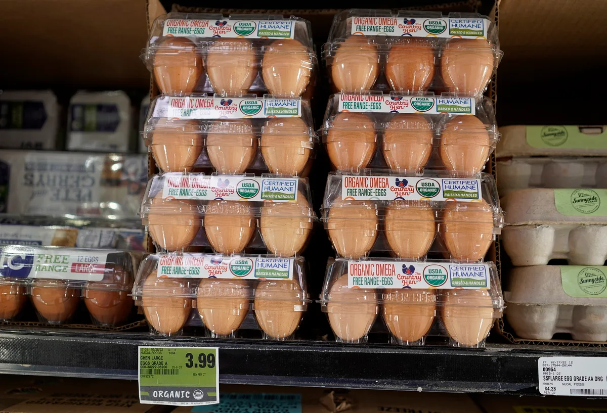 Hong Kong, H5N1 nedeniyle Kanada ve ABD'nin bazı bölgelerinden kanatlı ithalatı kesti