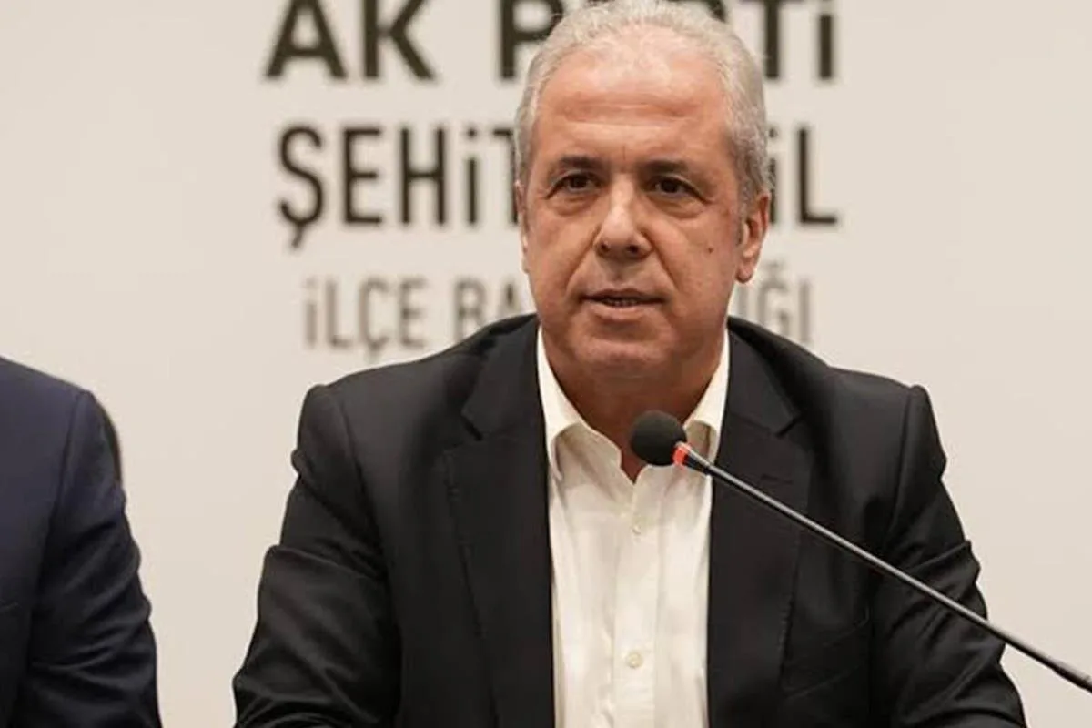 Gazetecilikten Meclis'e uzanan Şamil Tayyar kimdir? Esenyurt'taki paralara tepki gösteren eski AK Parti milletvekili nereli, kaç yaşında?