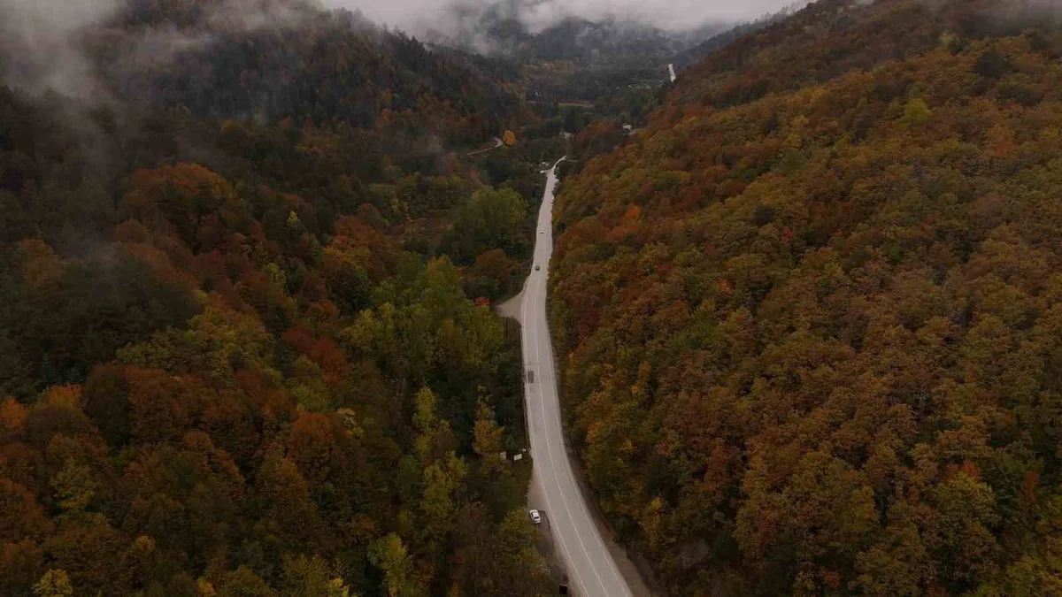 Bolu'da Abant Gölü Milli Parkı yolundaki sonbahar renkleri dronla görüntülendi
