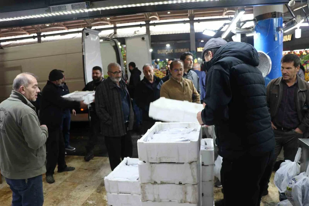 Denize kıyısı olmayan Sivas'tan Ege'ye palamut gidiyor! Tanesi 100 liradan satılıyor