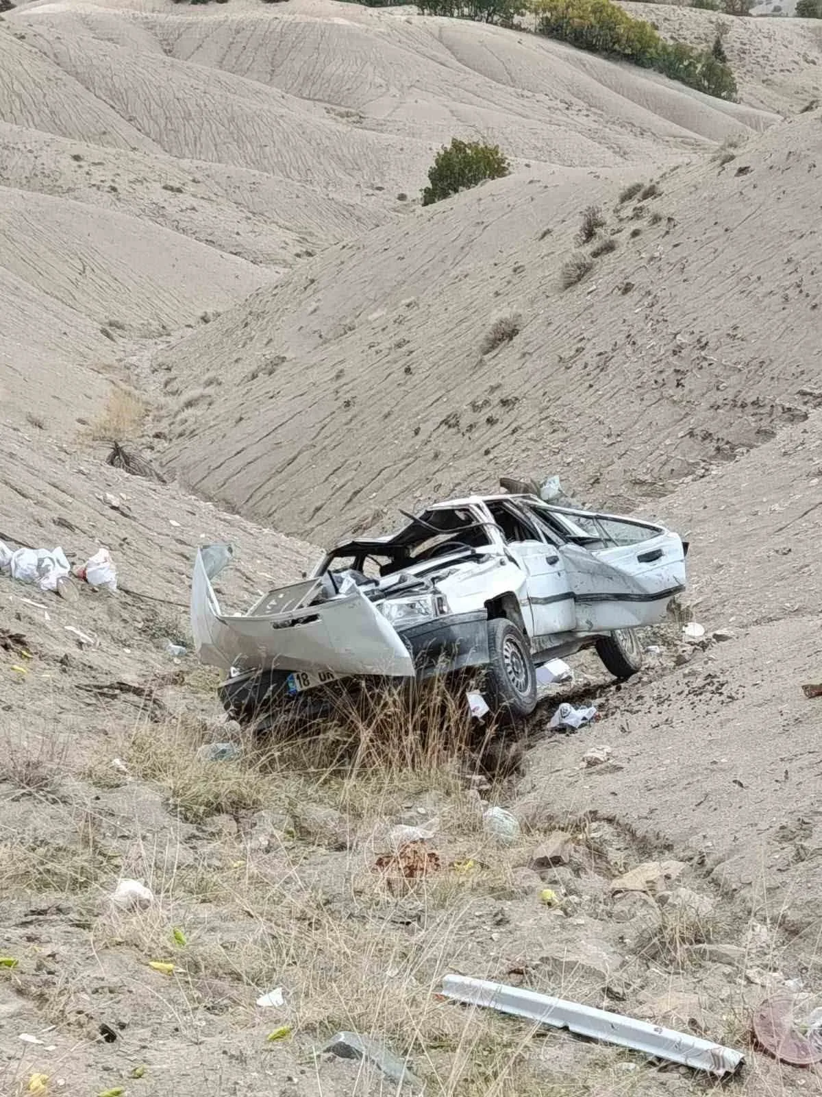 Elazığ'da uçurumdan yuvarlanan otomobilde 1 kişi öldü, 1 kişi yaralandı