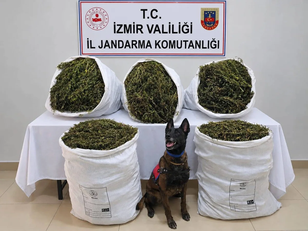 İzmir Tire'de jandarma 54 kilo 800 gram kubar esrar ele geçirdi, 3 şüpheli tutuklandı