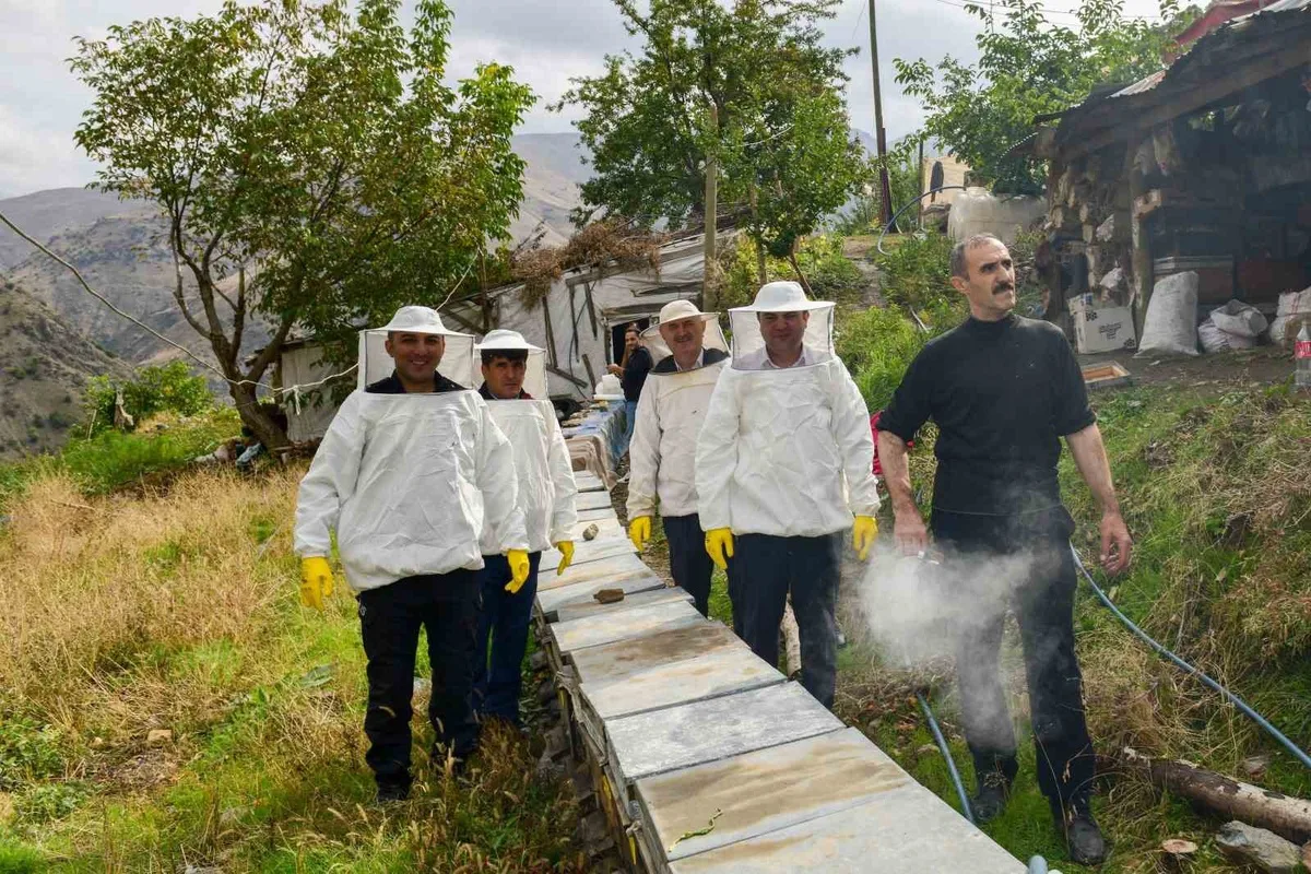 Van Çatak'ta karakovan balı hasadı yapıldı, 40 üreticiye 800 arılı kovan verildi