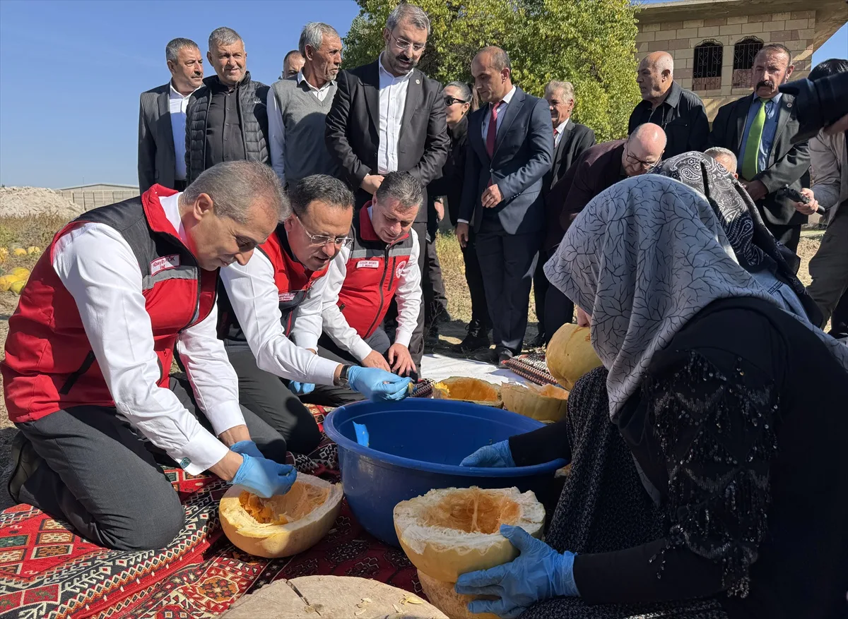 Nevşehir'de kabak çekirdeği hasadı yapıldı, 47 bin tonla Türkiye'de birinci olundu