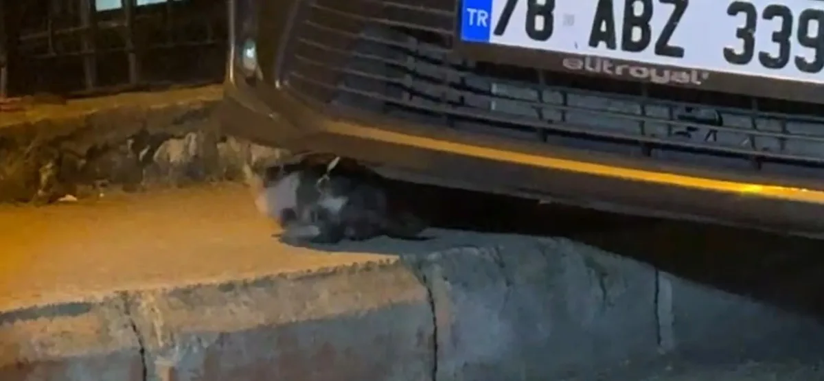 Karabük'te motor bölümüne sıkışan yavru kedi itfaiye ekiplerince kurtarıldı