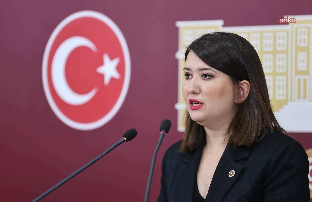 Gökçen, Sincan Cezaevi'ndeki ziyaretinde ailelerin güvende olmadığını söyledi