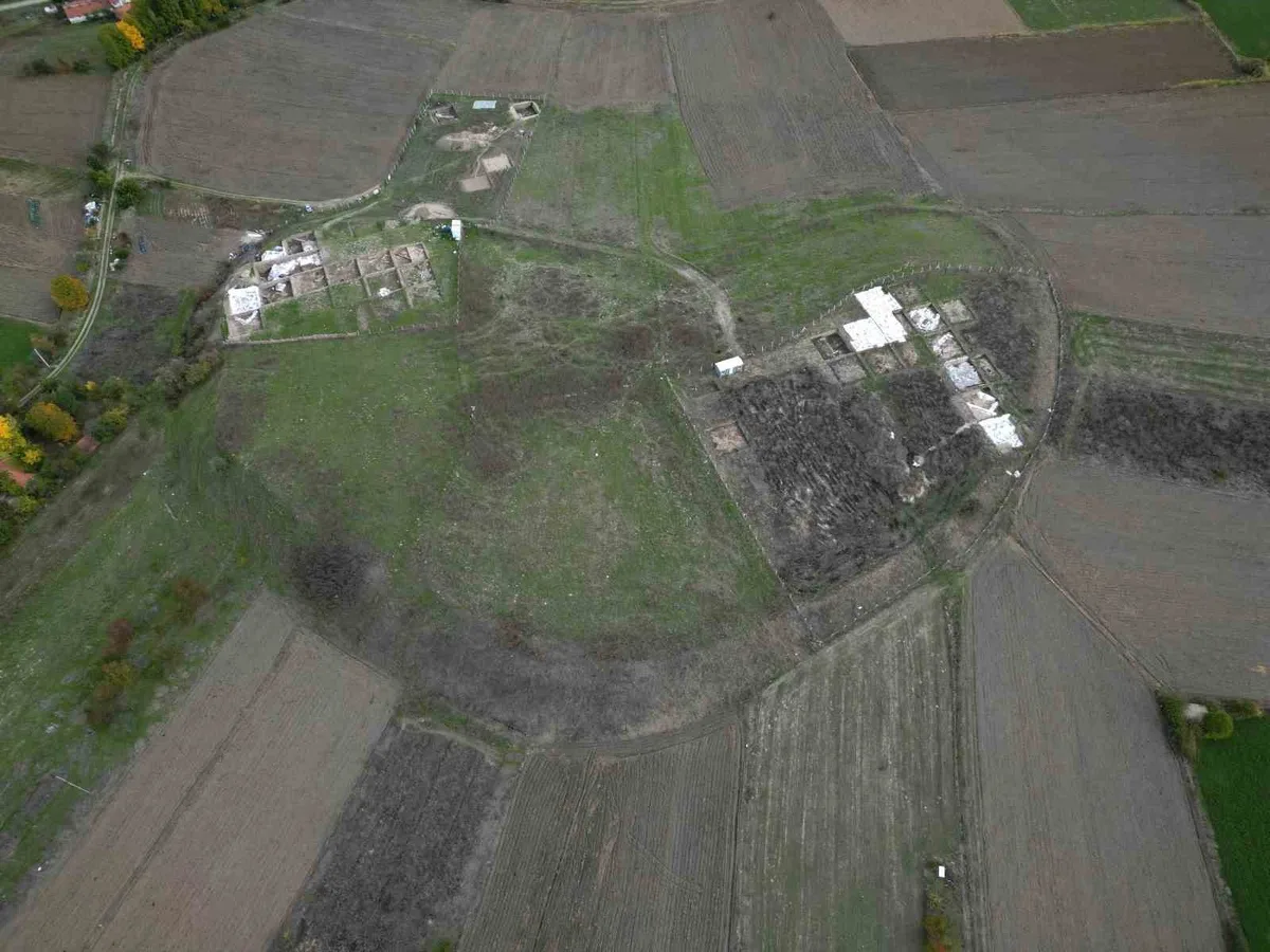 Tavşanlı Höyük'te 4 bin yıllık köpek pati izleri Tunç Çağı'na ışık tutuyor