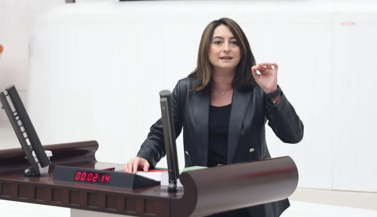 CHP'li Bankoğlu 2027 bütçesinde kadına yönelik şiddetle mücadeleye kaynak istedi