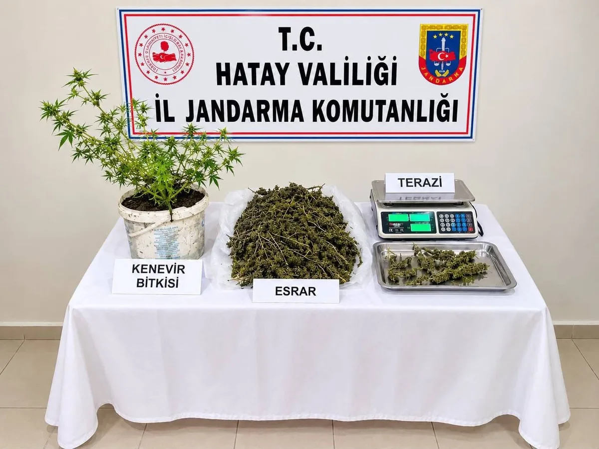 Hatay Kumlu'da operasyonda 3 bin 578 gram esrar ele geçirildi, 1 şüpheli tutuklandı