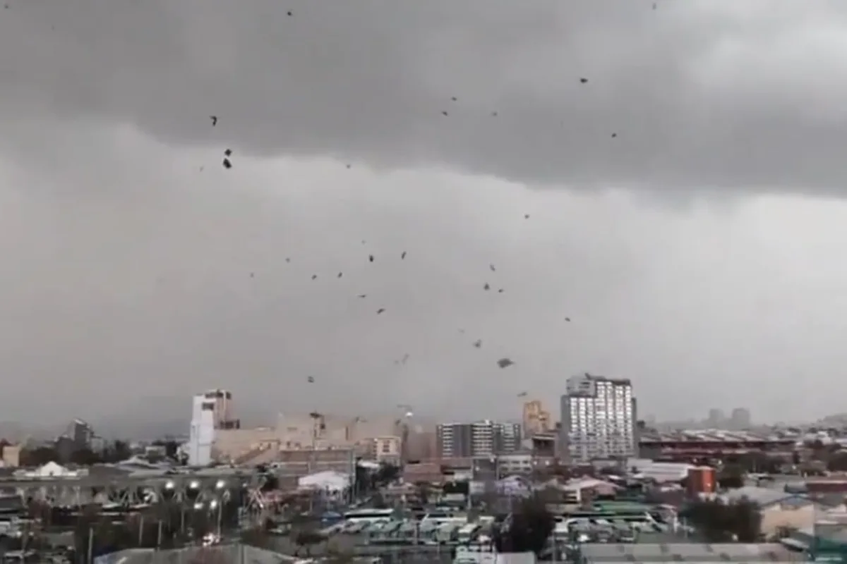 Şili'de kasırga faciası! Binaların çatıları uçtu, başkentte kırmızı alarm verildi