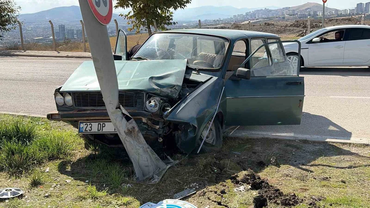 Elazığ'da refüjdeki aydınlatma direğine çarpan otomobilde 2 kişi yaralandı