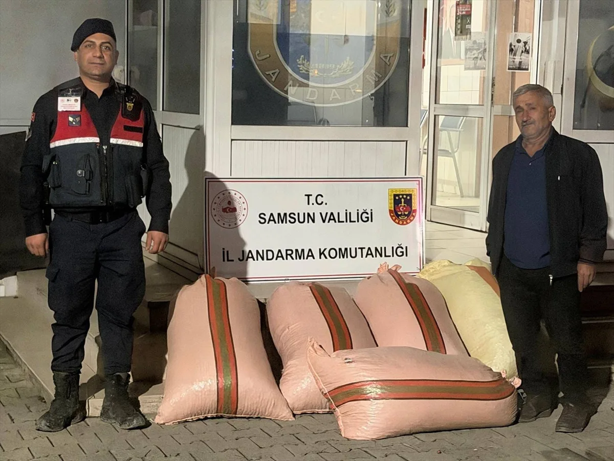 Samsun Çarşamba'da fındıkta dolandırıcılık iddiasıyla 2 şüpheli gözaltına alındı