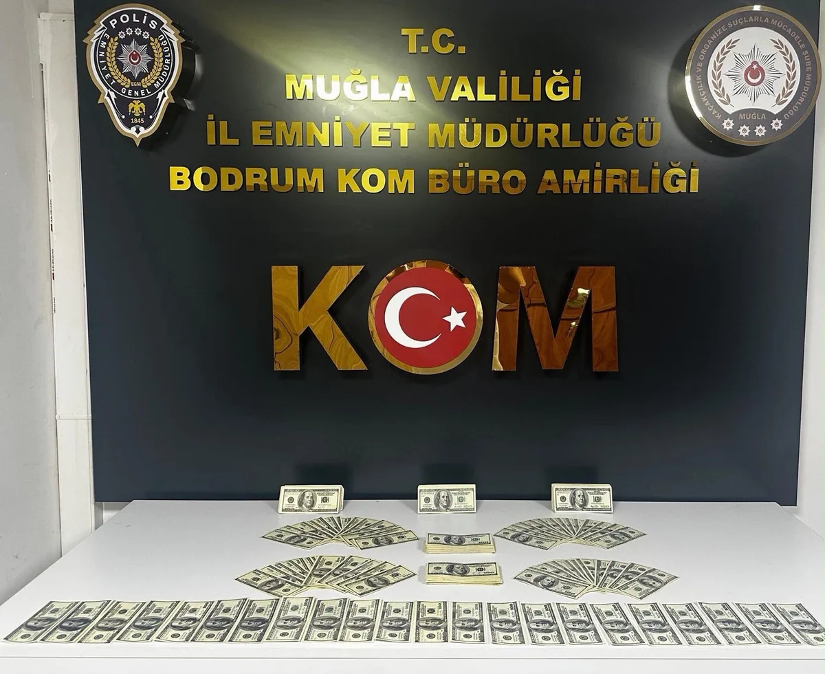 Bodrum'da işyerinde 46 bin 200 sahte ABD doları ele geçirilen şüpheli tutuklandı