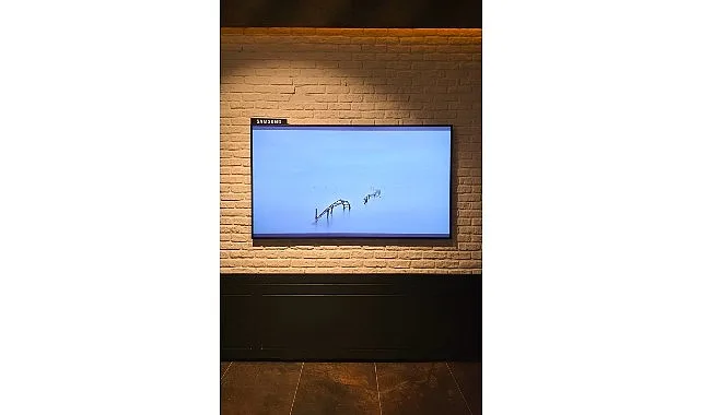 Samsung, Artweeks Istanbul’da sanatı ekran teknolojileriyle buluşturuyor