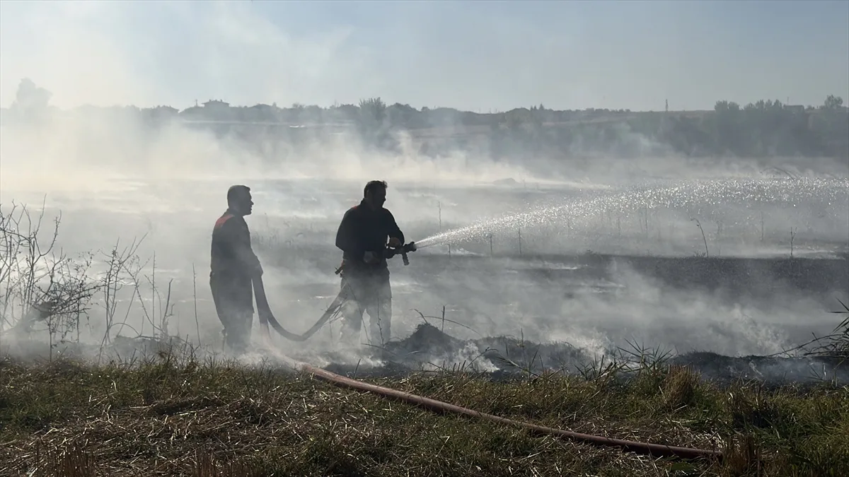 Edirne İskenderköy'de anız yangını söndürüldü, yaklaşık 100 dekar arazi zarar gördü